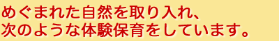 めぐまれた自然を取り入れ、次のような体験保育をしています。